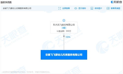 科大訊飛多元化布局 進軍嬰幼兒托育服務(wù)領(lǐng)域